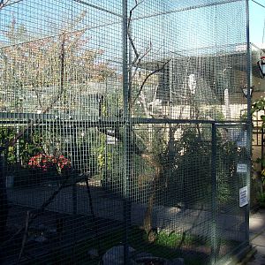 Malmoe Reptile Center - Garden