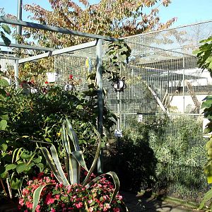 Malmoe Reptile Center - Garden