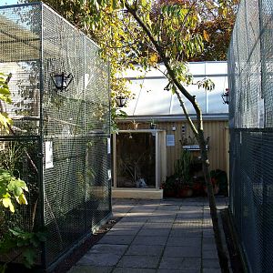 Malmoe Reptile Center - Garden