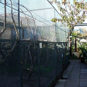 Malmoe Reptile Center - Garden