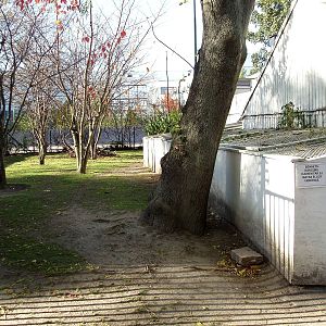 Malmoe Reptile Center - Wallaby exhibit