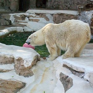 Saint Louis Zoo/October