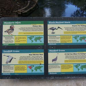 Stork/Crane Sign