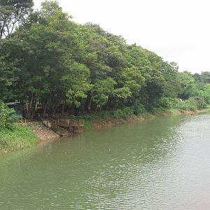 Sanjay Gandhi National Park,Mumbai,India.