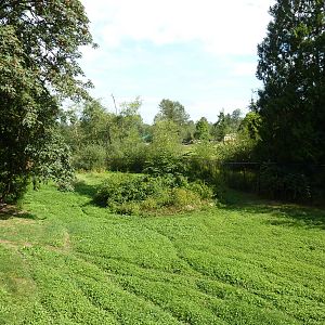 Arctic Wolf Enclosure