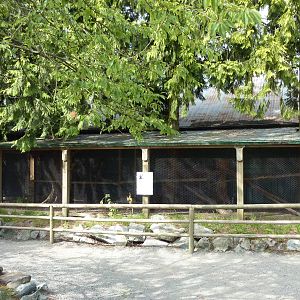 Squirrel Monkey Enclosure