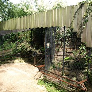 GaiaPark - Mink exhibit