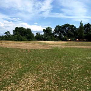 GaiaPark - Wild horse exhibit