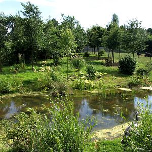 GaiaPark - Crane exhibit