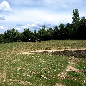 GaiaPark - Aurochs exhibit