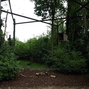 GaiaPark - Raven aviary