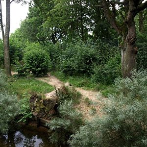 GaiaPark - Iberian wolf exhibit