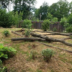 GaiaPark - Lynx exhibit