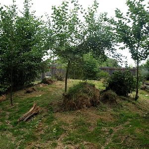 GaiaPark - Lynx exhibit