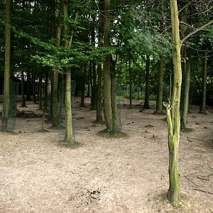 GaiaPark - Bactrian deer exhibit