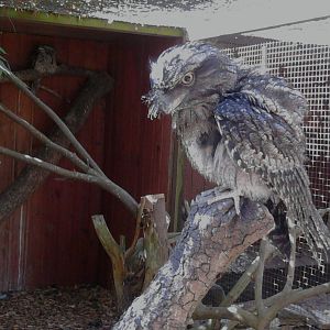 Just a few Snaps from my recent visit to the park