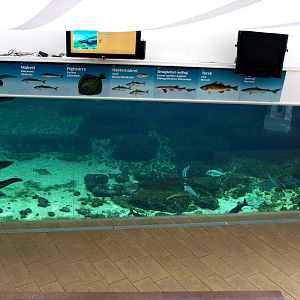 Kattegatcenter - Oceanium