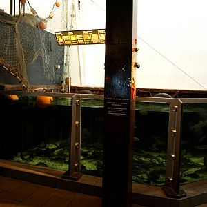 Kattegatcenter - Harbour