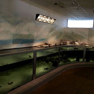 Kattegatcenter -Beach