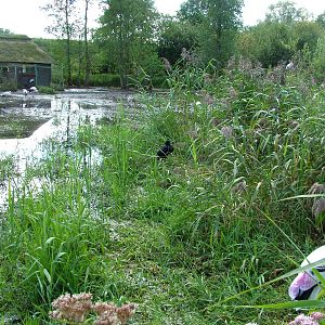 Stork paddock at Niendorf 05/09/07