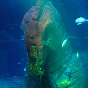 Ocean Tank at Sealife Munich 07/09/06