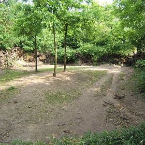 Pygmy Hippo enclosure