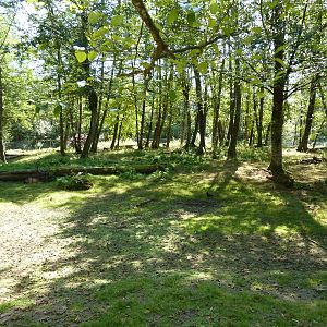 3-Acre Pere David's/Sika/Fallow Deer Paddock