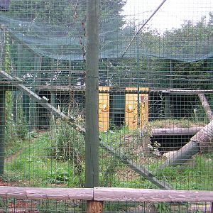 Jaguar Enclosure