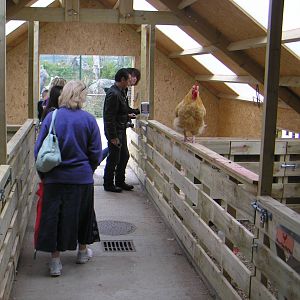 ZooLittle Farm Interior
