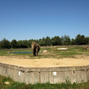 Givskud Zoo - Elephant paddock