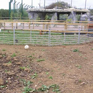 ZooLittle Farm Exterior