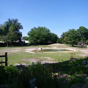 South American Exhibit