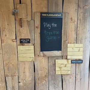 Bristol Zoo Tree Kangaroos of Papua New Guinea
