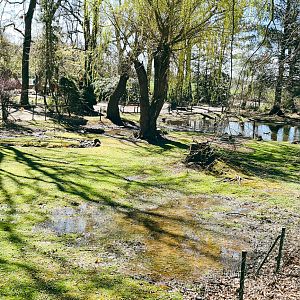 Waterfowl and Nutria