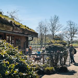 Barn for farm animals and Maras
