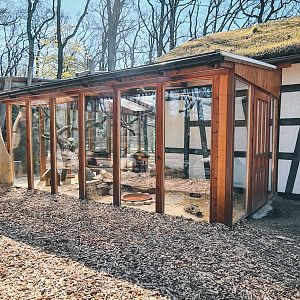 Ferrets outside the monkey house