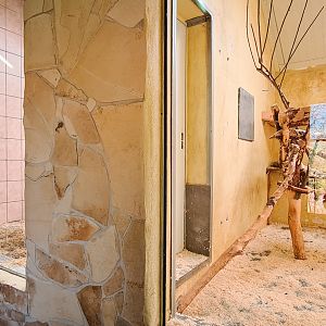 Monkey house for ring-tailed lemurs and hamadry baboons