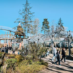Overview of the playground and the monkey exhibits
