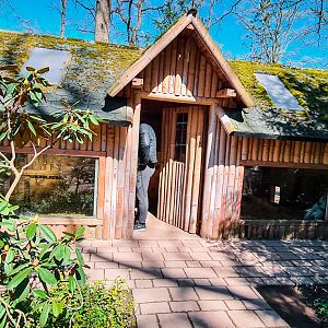 House for porcupines and maras