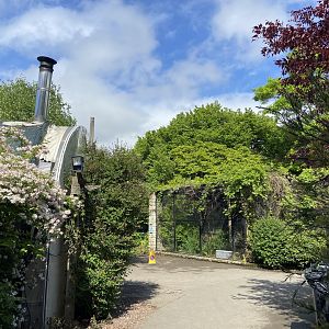 Bristol Zoo Butterfly Forest