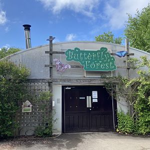 Bristol Zoo Butterfly Forest