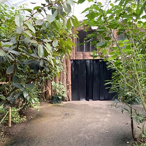 Bristol Zoo Butterfly Forest