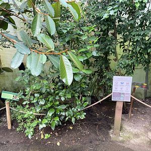 Bristol Zoo Butterfly Forest