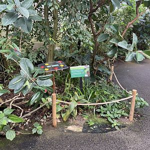 Bristol Zoo Butterfly Forest