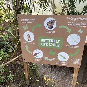 Bristol Zoo Butterfly Forest