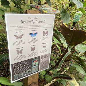 Bristol Zoo Butterfly Forest