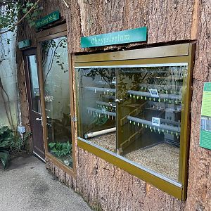 Bristol Zoo Butterfly Forest