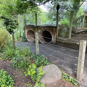 Bristol Zoo Meerkat Lookout