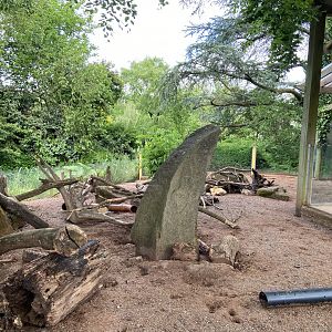 Bristol Zoo Meerkat Lookout