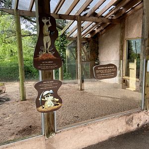 Bristol Zoo Meerkat Lookout